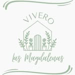 Vivero en Funes con variedad de plantas naturales