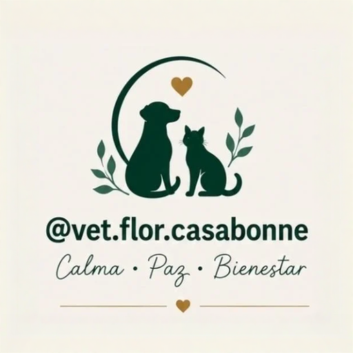 Veterinaria y Reiki para Animales en Funes | Flor Casabonne